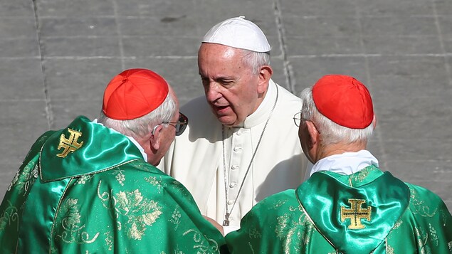 Le pape François en compagnie de deux cardinaux. Le pape François en compagnie de deux cardinaux.