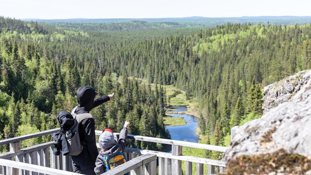 La Fonderie Horne contamine la faune et la flore à plus de 50 km de Rouyn-Noranda