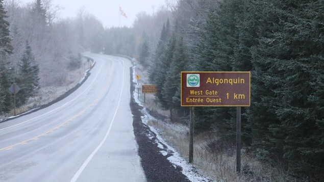 Poissons-appâts vivants : un pêcheur écope d’une amende de 3000 $