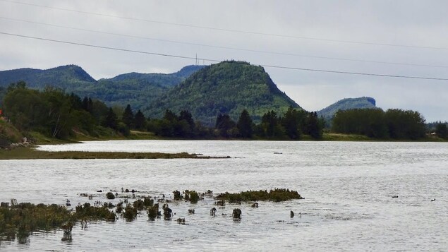 La Sépaq doit cesser d’utiliser un poison contre les rongeurs, demande un spécialiste