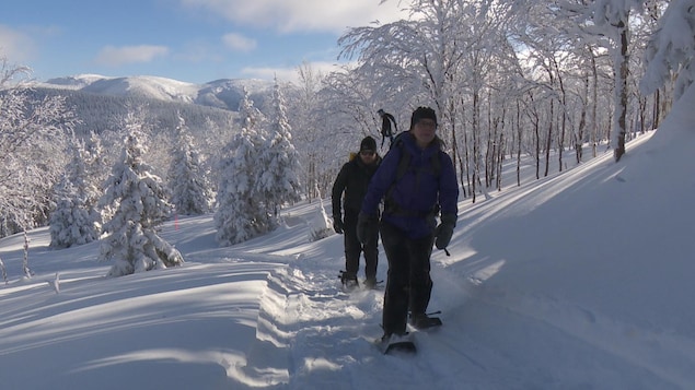 Deux randonneurs dans un paysage hivernal.