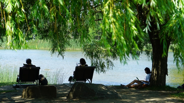 Les Montréalais invités à découvrir les secrets de leurs parcs