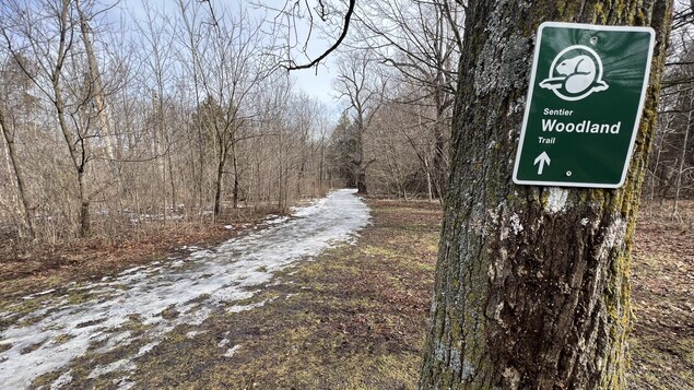 De plus en plus d’animaux de compagnie abandonnés dans les parcs du Grand Toronto