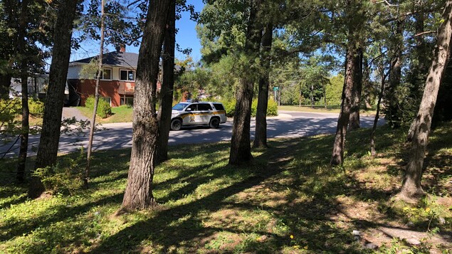 Comprendre pour mieux intervenir et mettre fin aux bagarres organisées au parc Lepage