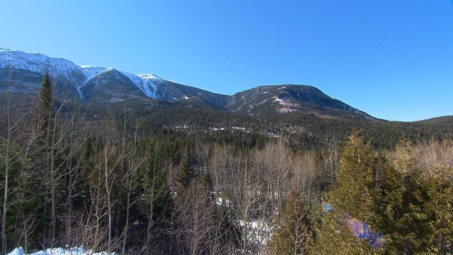 Une chaîne de montage du Parc national de la Gaspésie où on peut apercevoir de la neige au sommet. Une chaîne de montage du Parc national de la Gaspésie où on peut apercevoir de la neige au sommet.