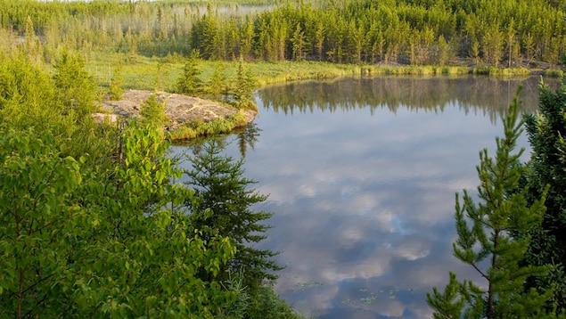 Le ciel bleu et quelques nuages se reflètent dans un petit lac bordé par une forêt de conifères dans le parc provincial de Nopiming, au Manitoba.