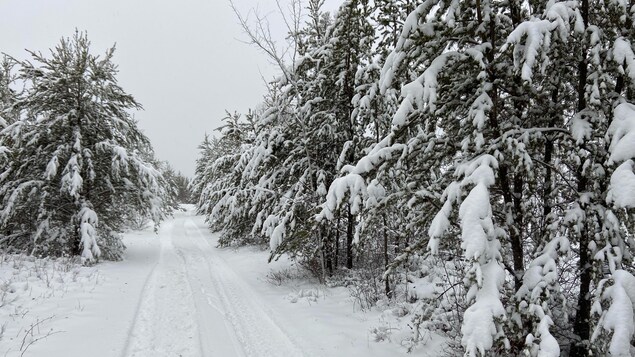 Le Manitoba autorise l’entrée gratuite dans les parcs provinciaux en février