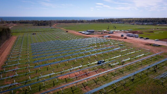 Une photo aérienne du parc solaire de Sunbank.