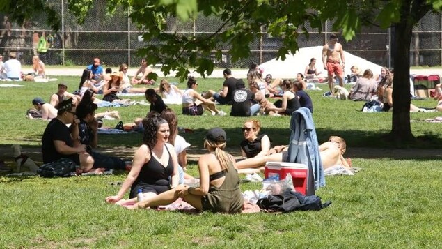 Des dizaines de personnes dans un parc.