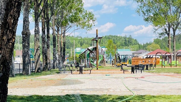 Les citoyens de Ville-Marie célèbrent la réouverture du parc des Clubs