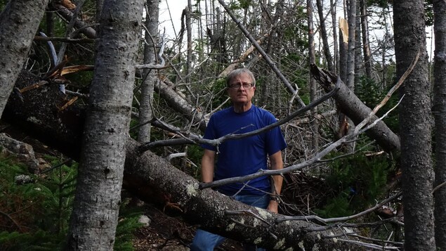 Ouragan Larry : des milliers d’arbres encombrent les sentiers East Coast