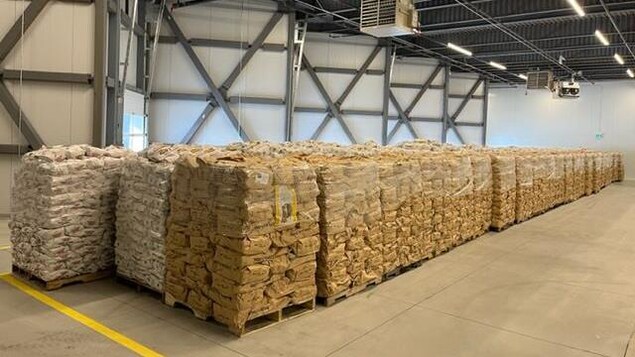 Des dizaines de palettes en bois remplies de sacs de patates.