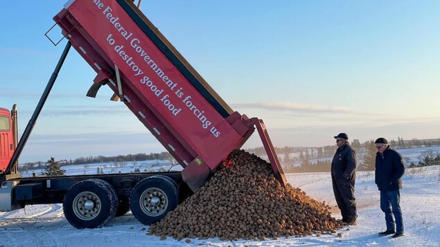 Reprise immédiate des exportations de patates de l’Î.-P.-É. vers les États-Unis