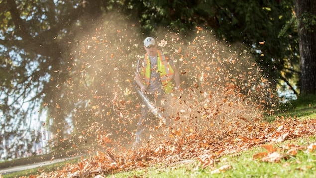 Des Calgariens veulent interdire les souffleuses à feuilles à essence