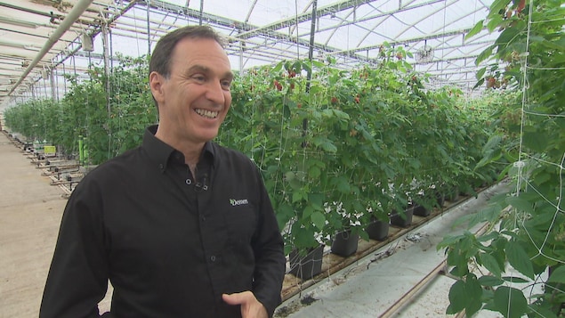 Jacques Demers, Président-directeur général des Productions horticoles Demers.