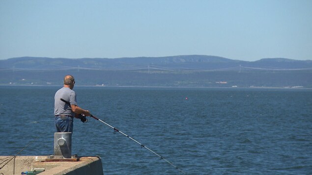 Homme pêchant le bar rayé sur le quai de Gaspé. Homme pêchant le bar rayé sur le quai de Gaspé.
