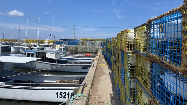 Des bateaux de pêche amarrés au quai et des casiers à homard empilés sur le quai.