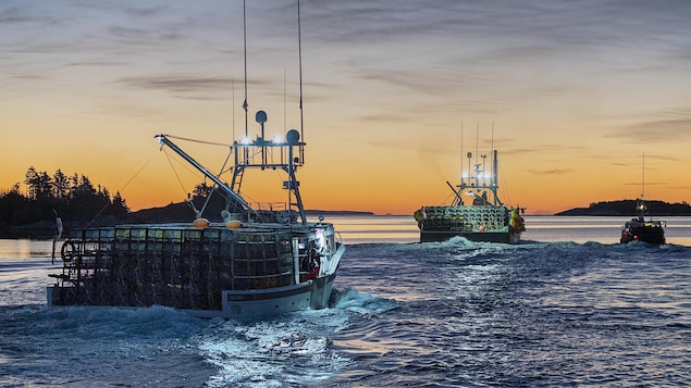 Boats loaded with traps head from the harbour in West Dover, N.S. on Monday, Nov. 30, 2020 as the lucrative lobster fishing season on Nova Scotia's South Shore opens. THE CANADIAN PRESS/Andrew Vaughan