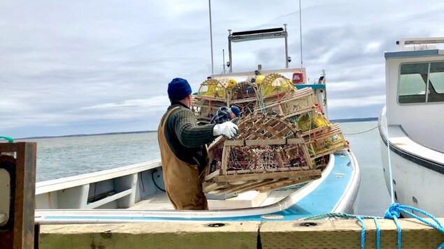 Un pêcheur dépose des casiers à homard sur un bateau.