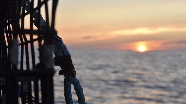 Un casier de pêche avec un soleil qui se lève à l'horizon sur la mer.