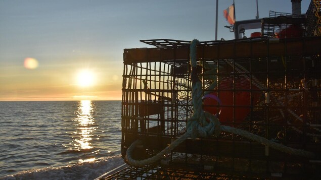 Le soleil se lève sur la mer et un bateau sur lequel sont empilés plusieurs casiers de pêche au homard.