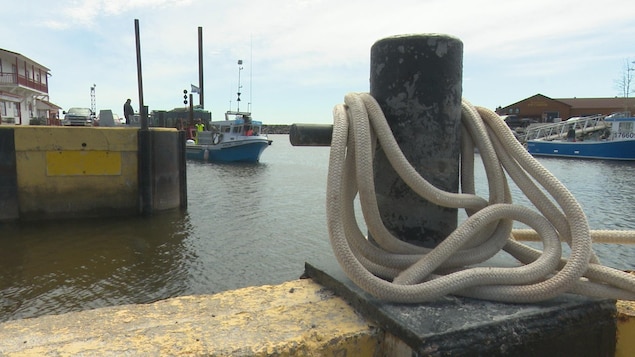 Des cordages sur une amarre
