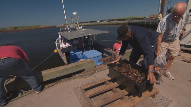 Les pêcheurs de homard de la zone 25 sont retournés en mer samedi