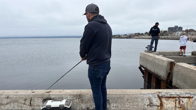 La pêche au bar rayé populaire à Sept-Îles | Radio-Canada.ca