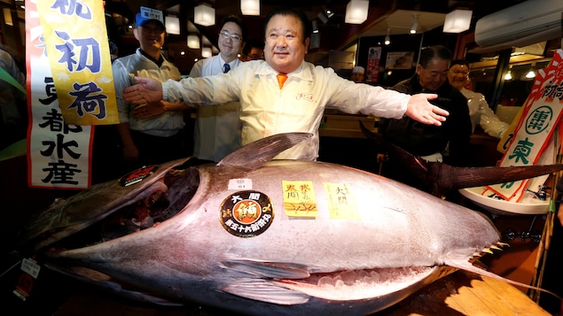 Un homme pose devant un thon de 212 kg. dans un restaurant à sushis de Tokyo. Un homme pose devant un thon de 212 kg. dans un restaurant à sushis de Tokyo.