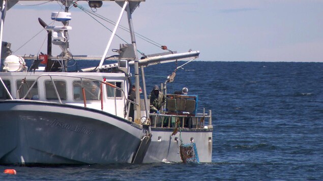 Pêcheurs de homards relevant des casiers Pêcheurs de homards relevant des casiers