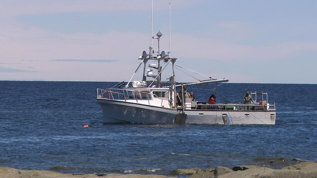 Pêcheurs de homards relevant des casiers Pêcheurs de homards relevant des casiers