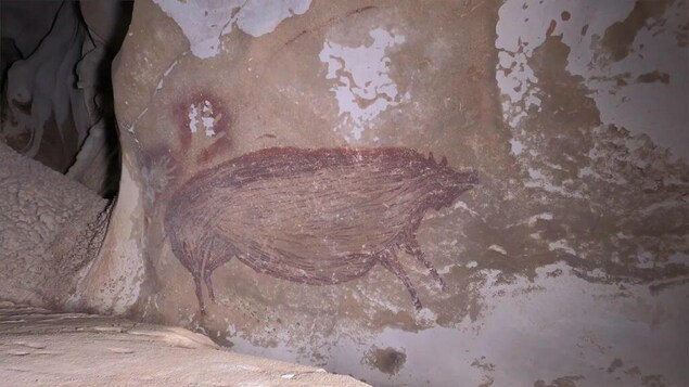 Figure de cochon sauvage réalisée à l'ocre rouge sur les parois de la grotte de Leang Tedongnge, en Indonésie.