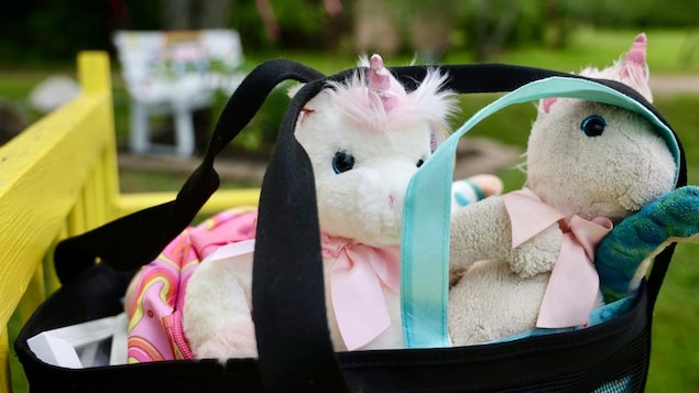 Des peluches dans un sac.