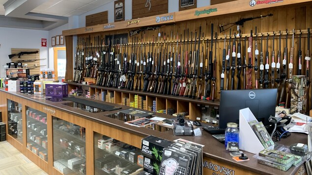 Un étalage d'armes de chasse et de munitions, dans un magasin.