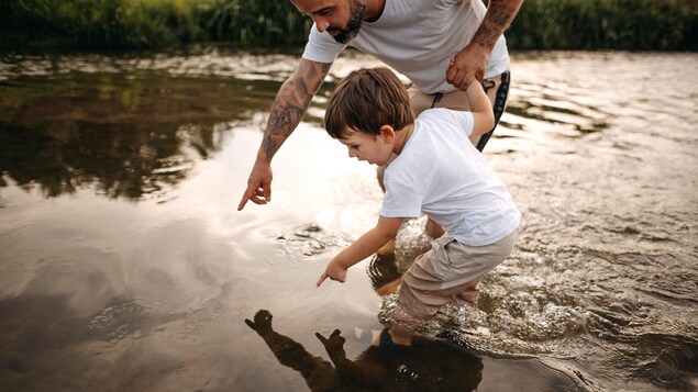 Un père tient la main d'un petit garçon d'environ 4 ans. Les deux sont debout dans l'eau peu profonde d'une rivière et point vers quelque chose qui est dans l'eau.