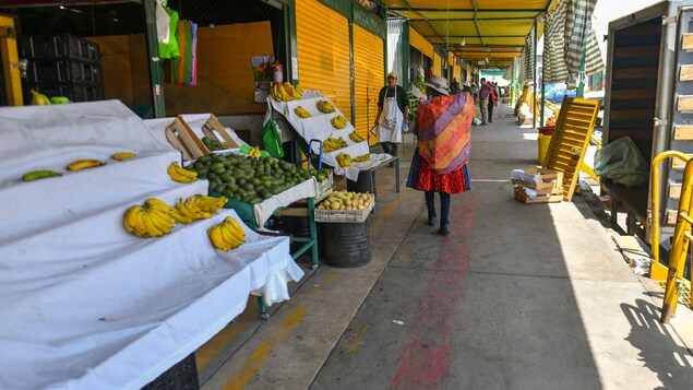 Pérou : le blocage des routes provoque pénuries et inflation
