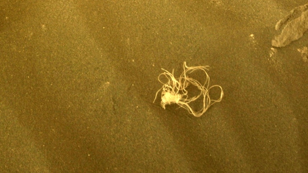 Perseverance trouve un morceau de fil sur Mars