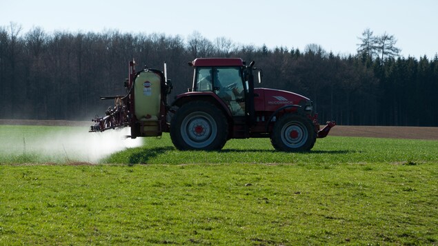 Un agriculteur arrose de pesticides un champ. Un agriculteur arrose de pesticides un champ.