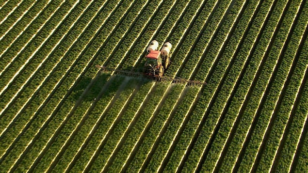 Vue aérienne d'un tracteur qui étend des pesticides dans un champ.