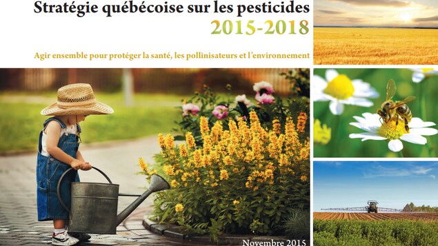 Le gouvernement du Québec se donne pour objectif de réduire de 25% les risques reliés aux pesticides, d'ici 2021. Le gouvernement du Québec se donne pour objectif de réduire de 25% les risques reliés aux pesticides, d'ici 2021.