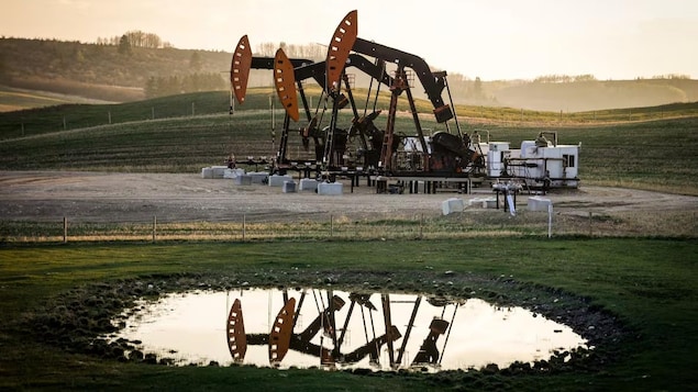 Des pompes extraient le pétrole et le gaz d'une tête de puits.