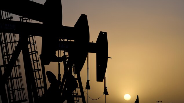 Des pompes installées sur des puits de pétrole.