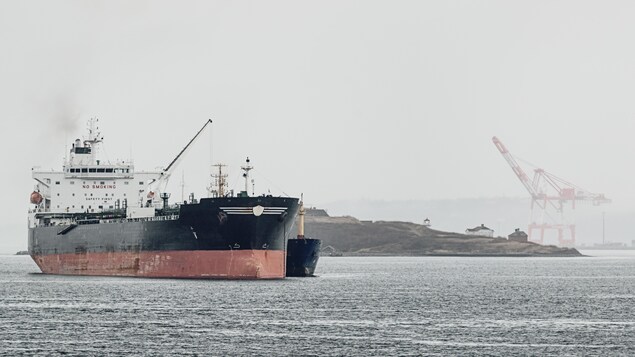 Un pétrolier ancré dans un port.