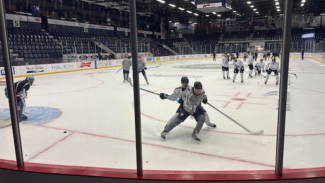 Le Phoenix de Sherbrooke retrouve sa glace