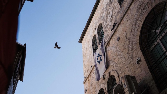 Un oiseau passe entre deux immeubles d'où pend un drapeau israélien.