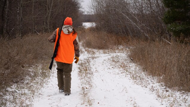 Manitoba creates winter season for mule deer