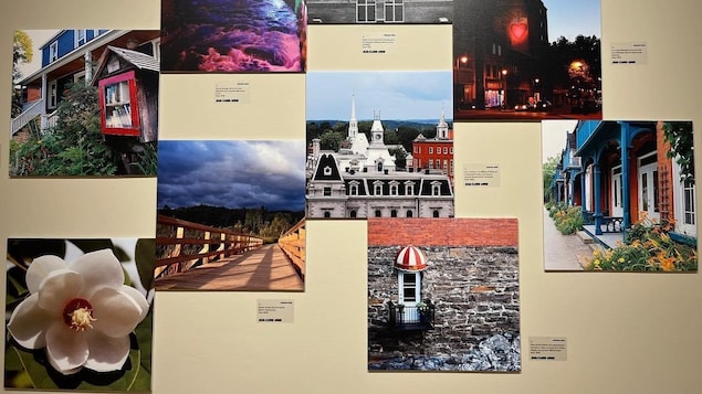 Des photographies affichées sur un mur.
