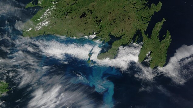 Image satellitaire de l'île de Terre-Neuve et une nappe d'eau turquoise au sud de l'île.
