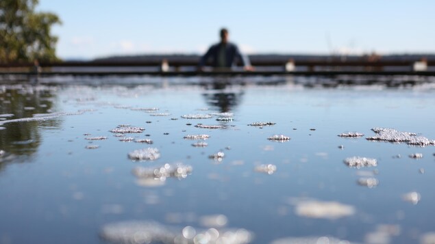 Un bassin avec des bulles de mousse, dans le fond une silhouette flou, à la ferme Marphyl, près de Nanaimo sur l’île de Vancouver, en avril 2024.