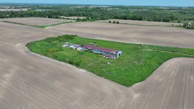 What's happening to Canada's farmland? | Radio-Canada.ca - Vimarsana News